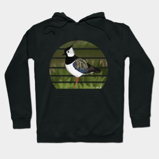 jz.birds Northern Lapwing Bird Animal Design Illustration Hoodie